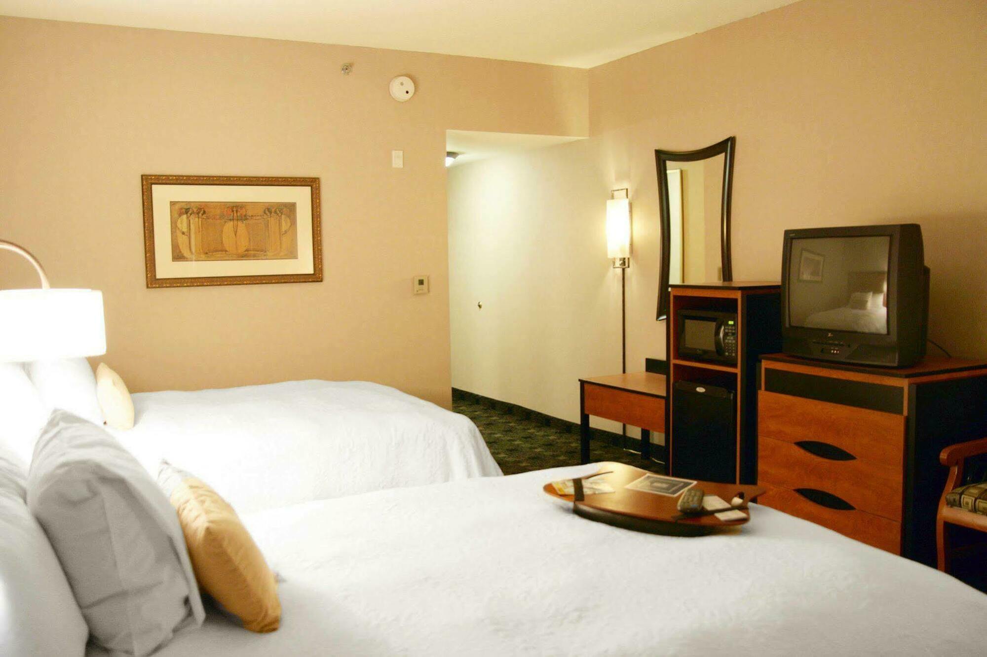 Hampton Inn And Suites Indianapolis-Fishers Room photo